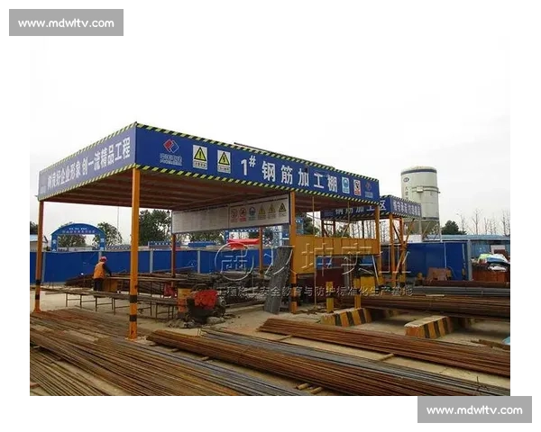 以立柱为核心的空间结构与建筑安全承载体系研究新视角与应用探索