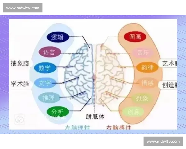 失位分析与应对策略:从个人、组织到社会层面的多维度探讨 失位分析与应对策略:从个人、组织到社会层面的多维度探讨